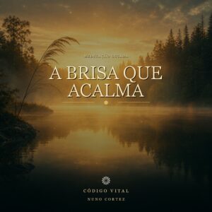 Meditação A Brisa Que Acalma