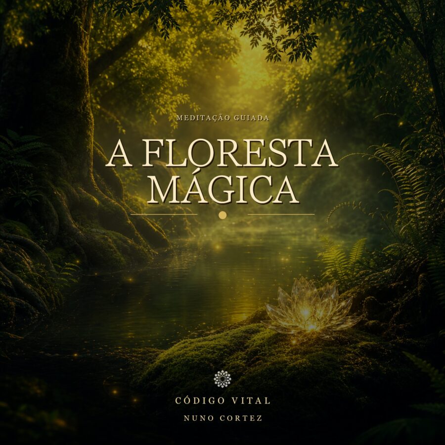 Meditação A Floresta Mágica