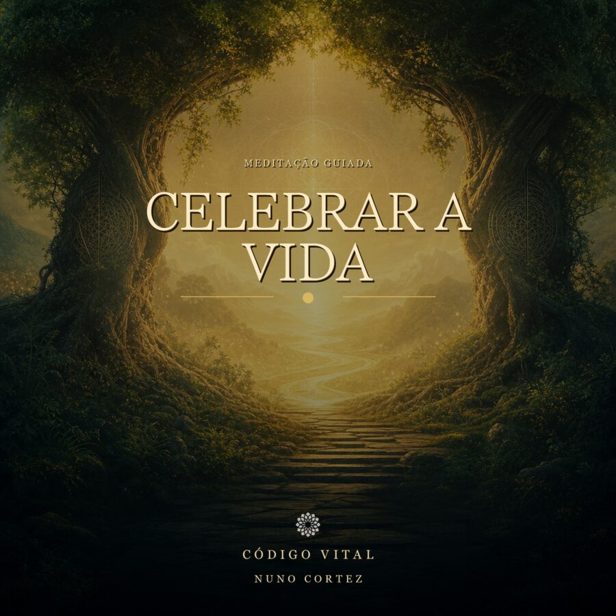 Meditação Celebrar a Vida