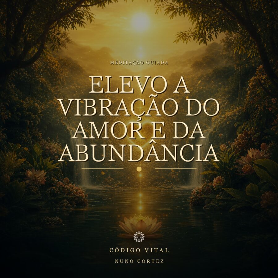 Meditação Elevo a Vibração do Amor e da Abundância