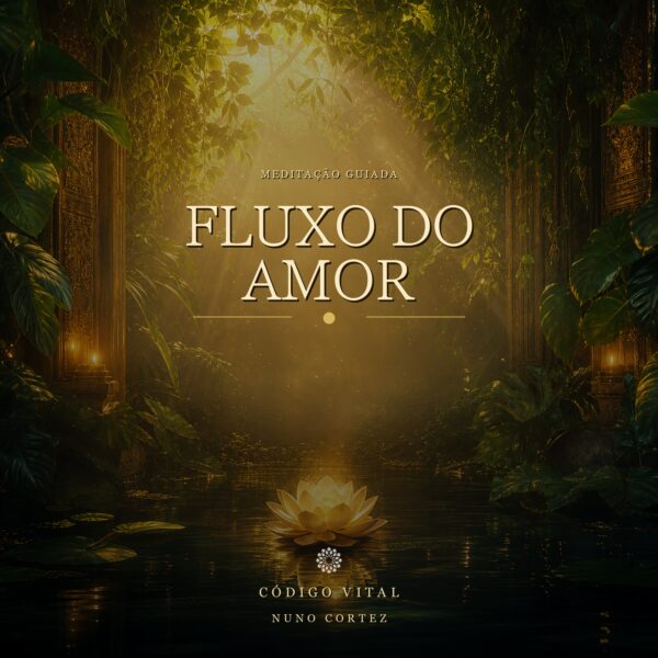 Meditação Fluxo do Amor