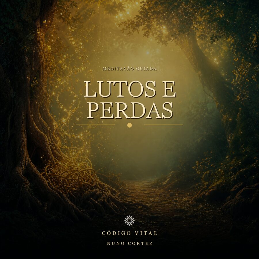 Meditação Lutos e Perdas