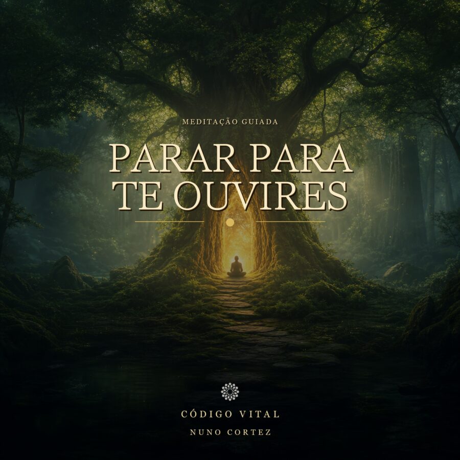 Meditação Parar para te ouvires