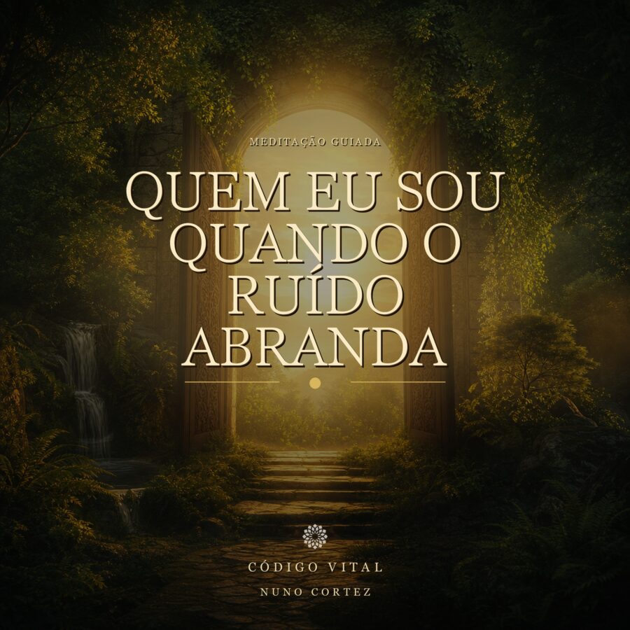 Meditação Quem eu sou quando o ruído abranda