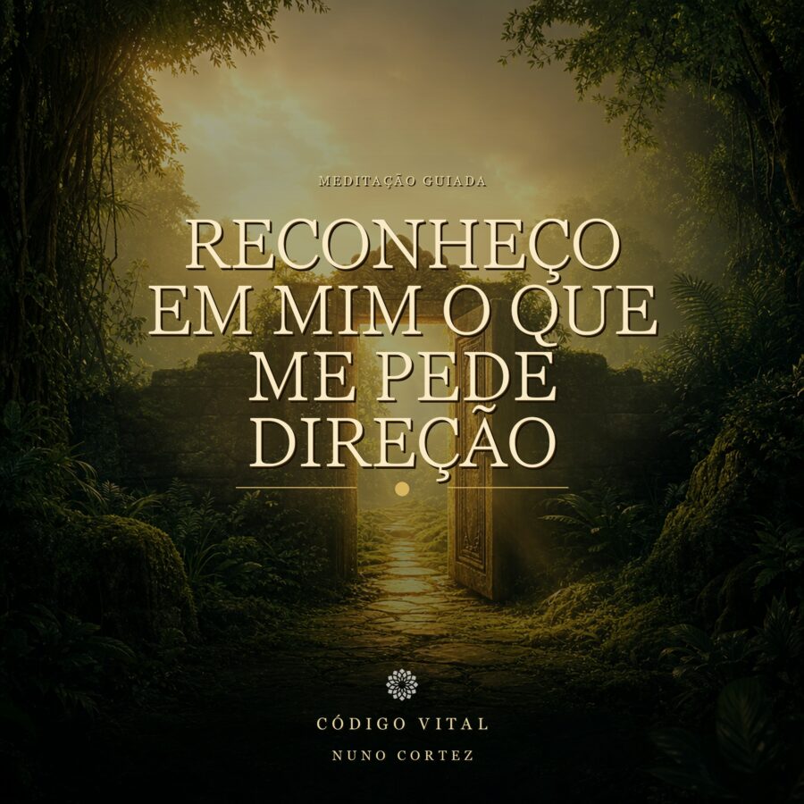 Meditação Reconheço em mim o que me pede direção