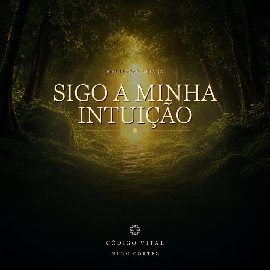 Meditação Sigo a minha Intuição